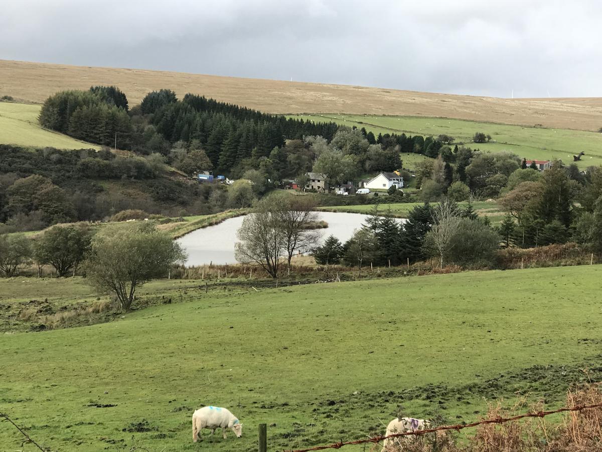Coynant Farm Guesthouse - Farm Park Stay Swansea Exterior photo